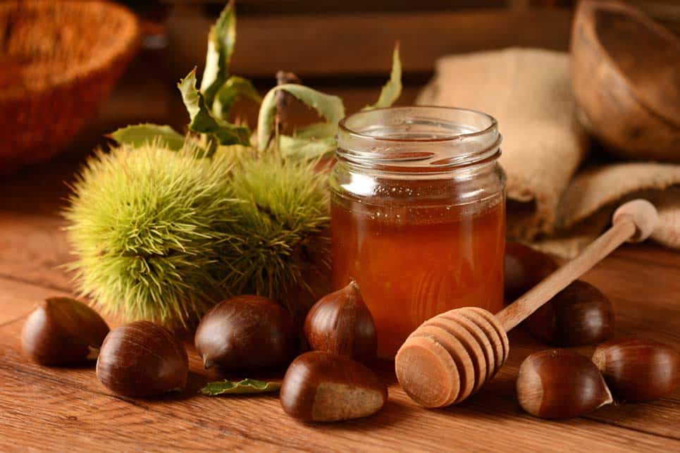 chestnuts honey in glass jar